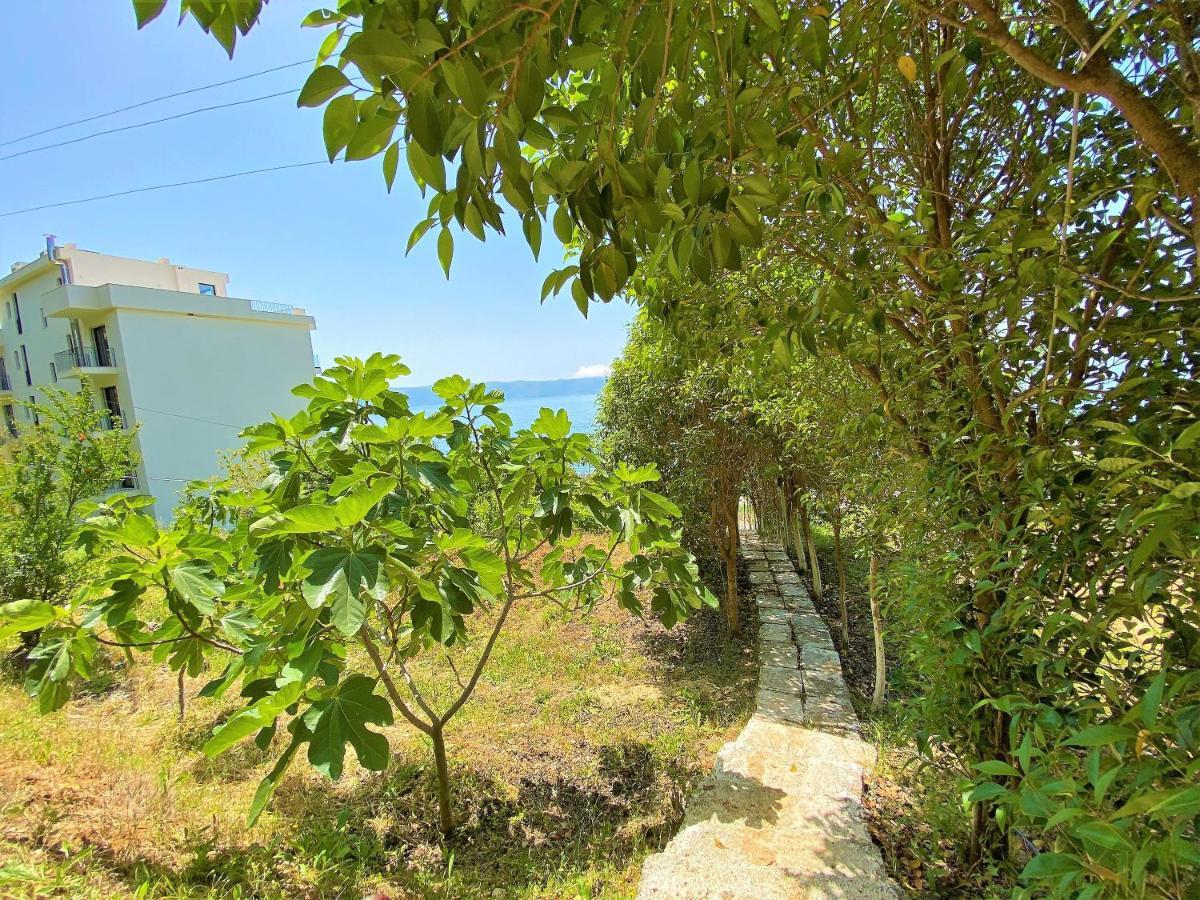 Ramo'S Green Beachside Retreat - Cozy 2 Bedroom Home Vlore Ngoại thất bức ảnh