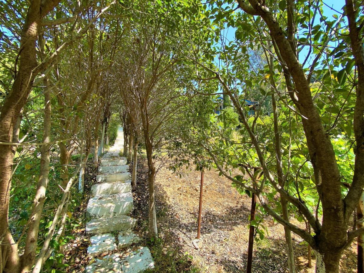 Ramo'S Green Beachside Retreat - Cozy 2 Bedroom Home Vlore Ngoại thất bức ảnh